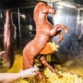 The exciting boring decade